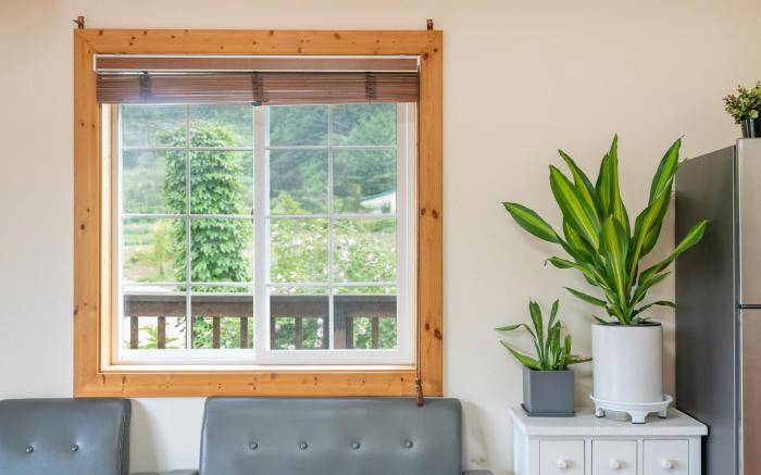 Hongcheon Lime Orange Pension