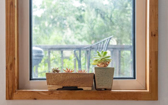 Hongcheon Lime Orange Pension