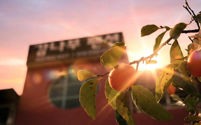 Goseong Gamnamu Pension