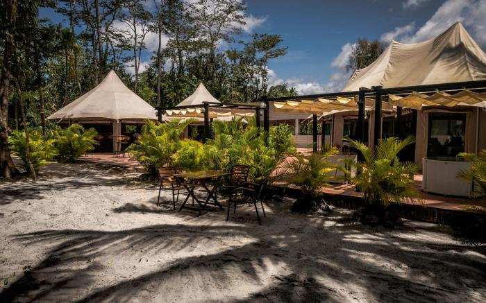 Canvas & Orchids Retreat