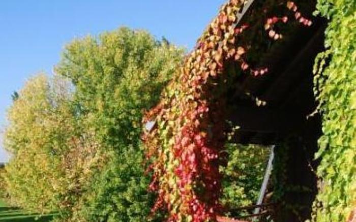 Domaine de L'Arbrelle