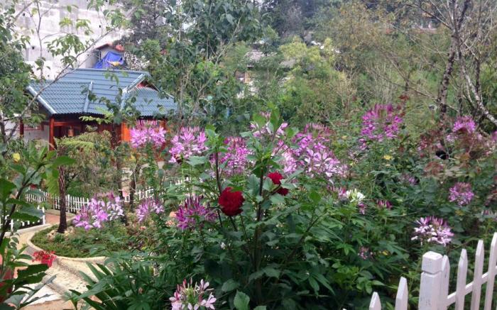 Sapa Garden Resort