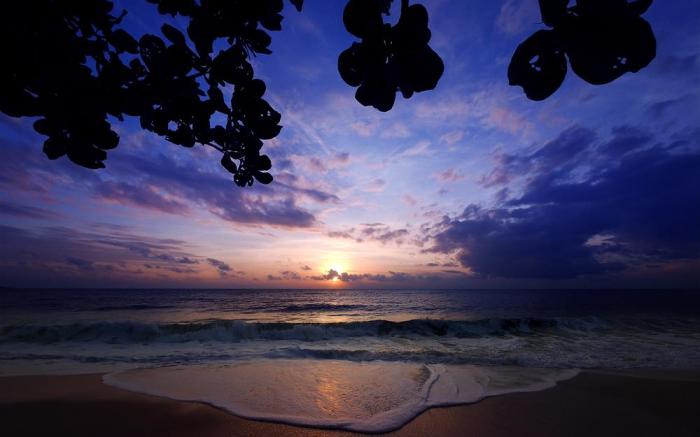 White Sand Samui Resort