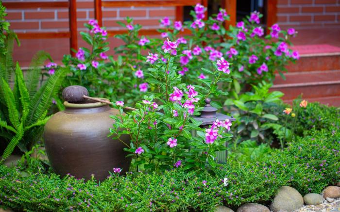 Việt Xưa Homestay