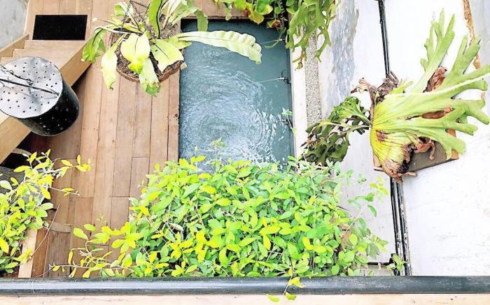 Rimba Jonker With Private Pool -10 Pax 2B/R