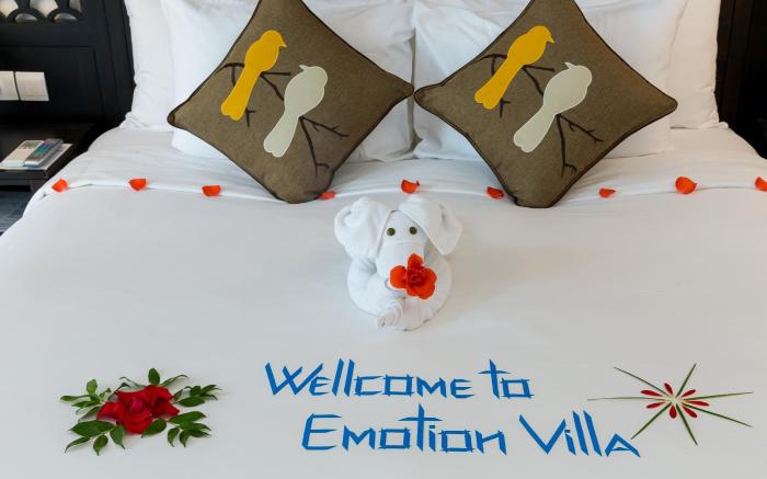 Hoi An Emotion Boutique Villa
