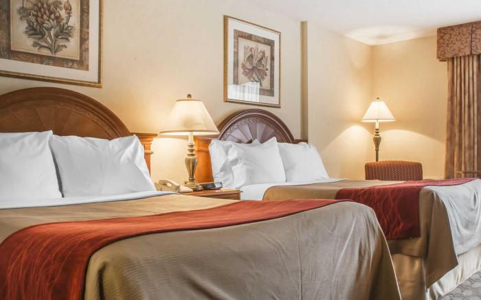 Comfort Inn Fallsview