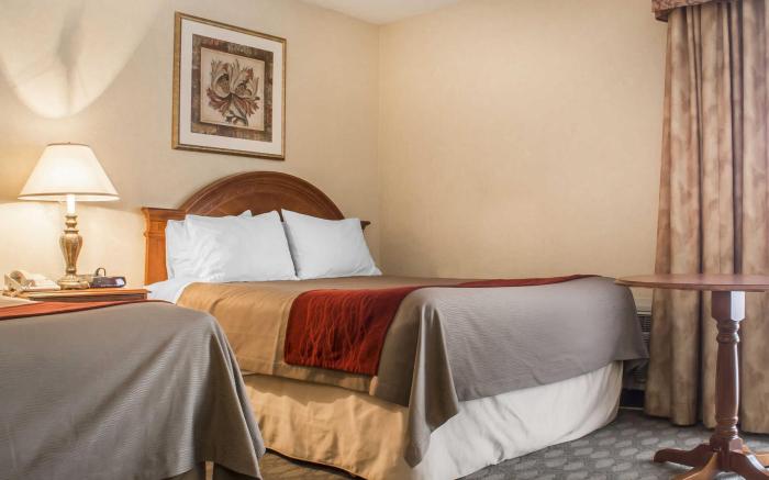 Comfort Inn Fallsview