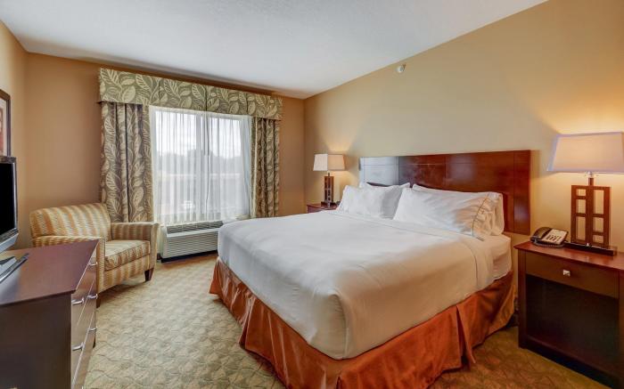 Holiday Inn Express Hotel & Suites Tampa-USF-Busch Gardens By IHG