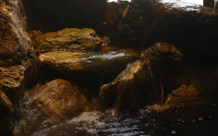 Dormy Inn Toyama Natural Hot Spring