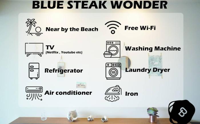 BLUE STEAK WONDER YOMITAN