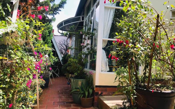 Homestay VuonTung (Pine Garden)