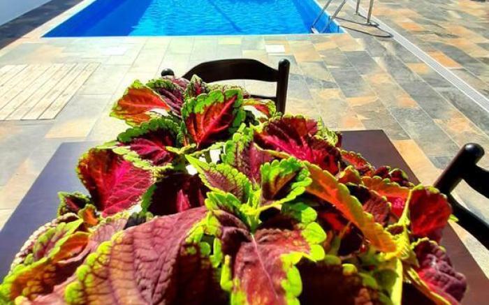 Hotel SEADEL