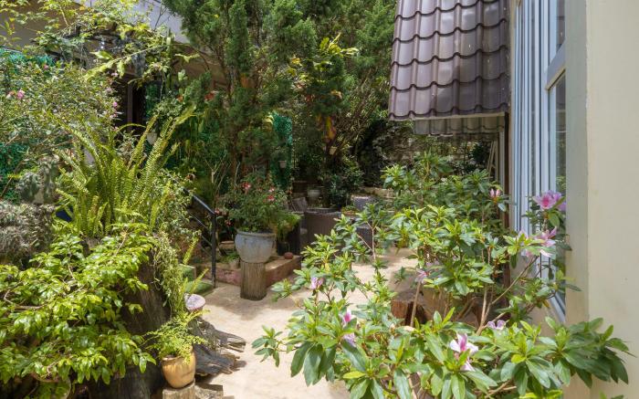 Homestay VuonTung (Pine Garden)