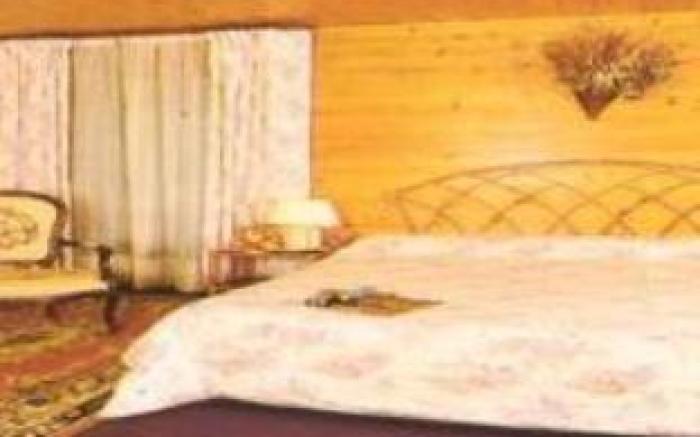 Alp'Hotel