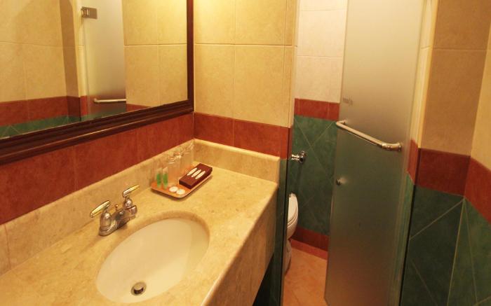Sarrosa International Hotel and Residential Suites
