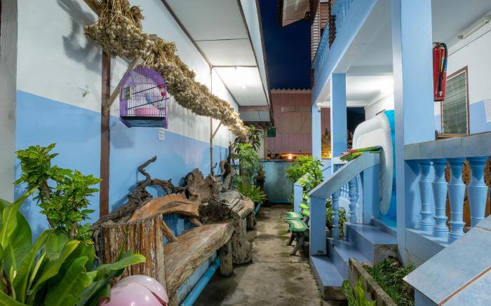 Blue House Pai