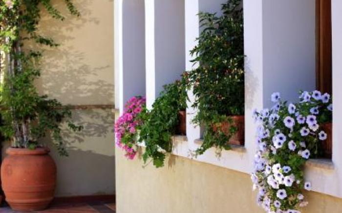 Hotel L'Ulivo