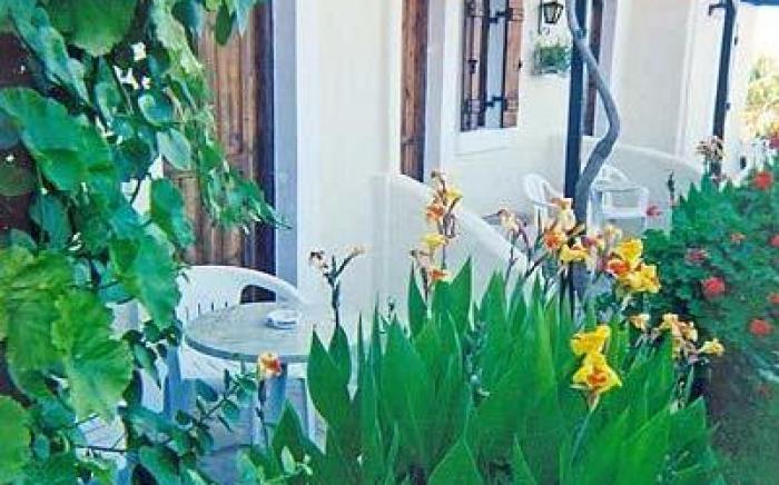Mila Malia Studios Hotel