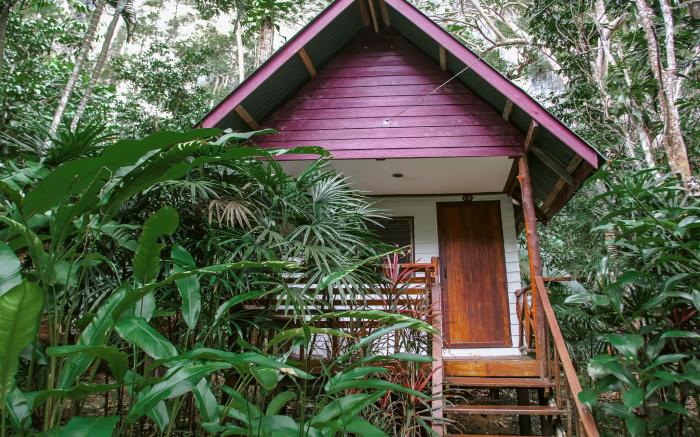 The Vatika Resort and Spa