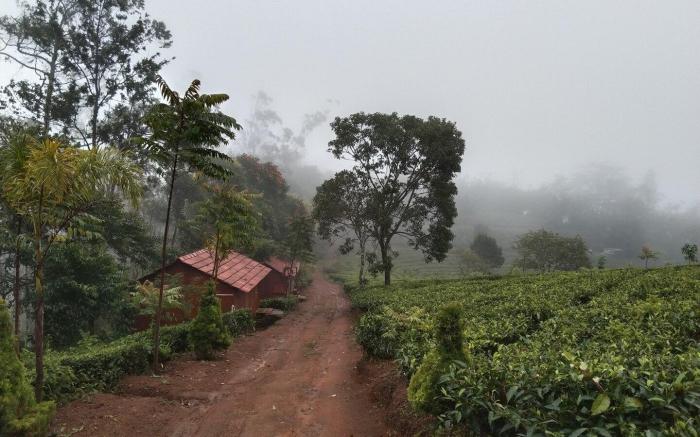 Eaglerock Holiday Villas 