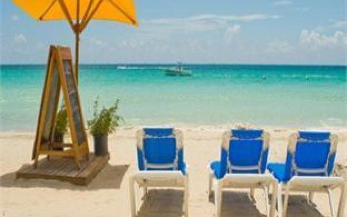 Negril Palms