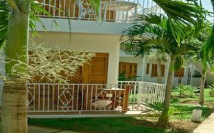 Negril Palms