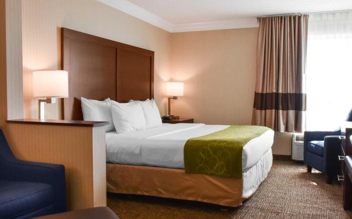 Comfort Suites Downtown Carlisle