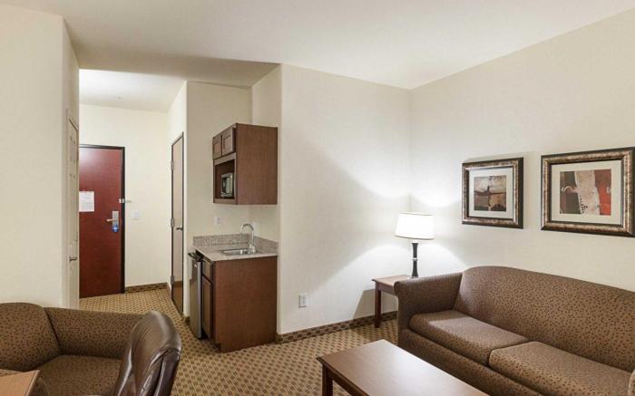 Comfort Suites San Antonio North - Stone Oak