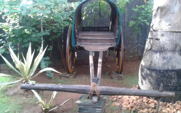 Halez Sparsa Thiruvannamalai