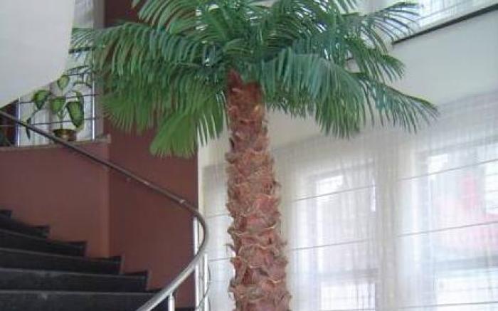 Antroyal Hotel