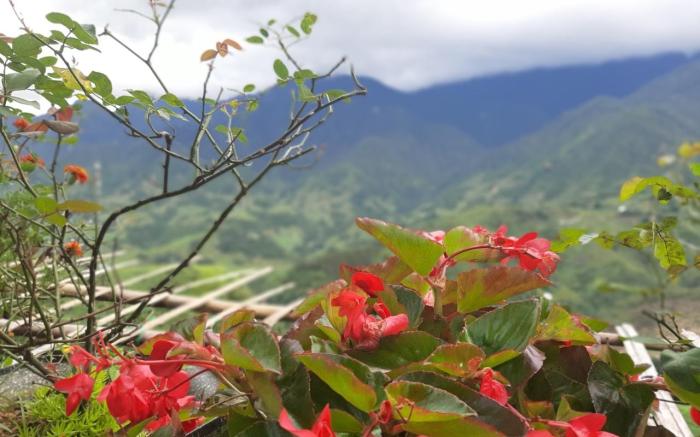 Valley View Homestay