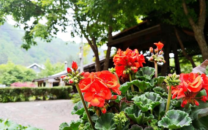 Yang Yang Sangol Yeohang Pension
