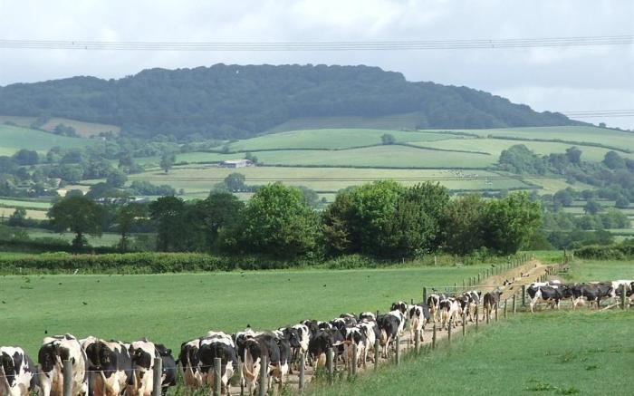 La Fosse at Cranborne