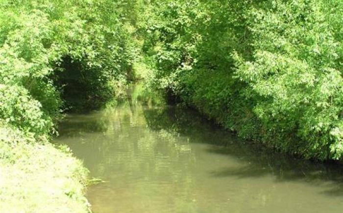 Glamping on the Hill