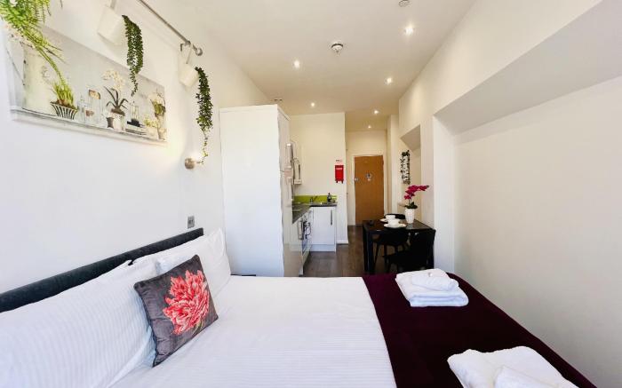 Fox House, Studio Apartments