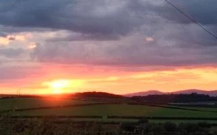 Dykefield Farm B&B
