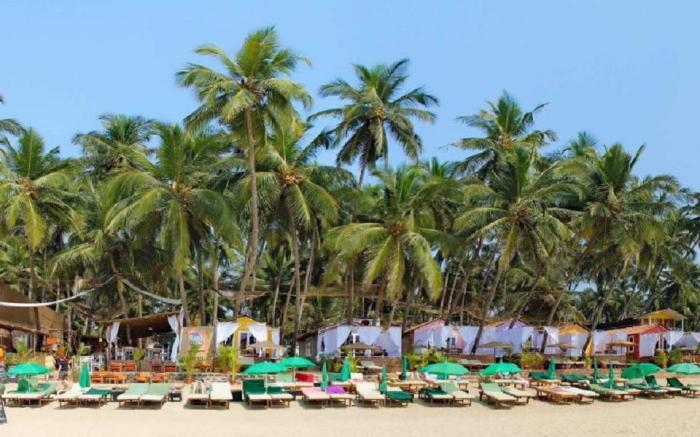 Art Resort Goa