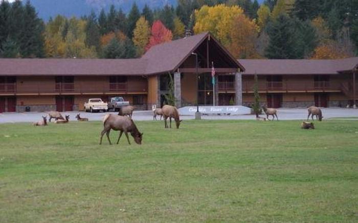 Cowlitz River Lodge