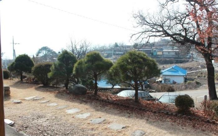 andong yangsodang (Korea Quality)