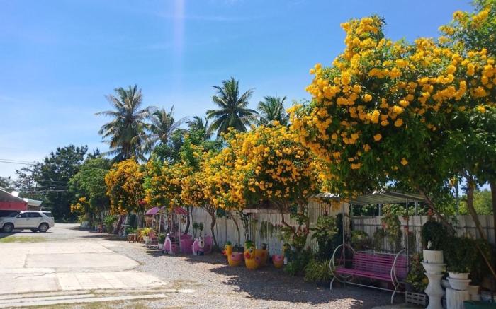 Saan Rak Resort