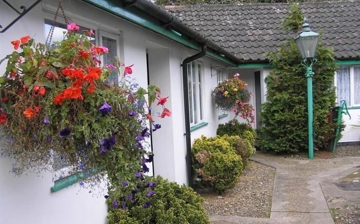 The Willow House