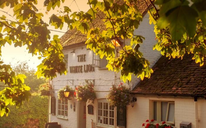 The White Lion