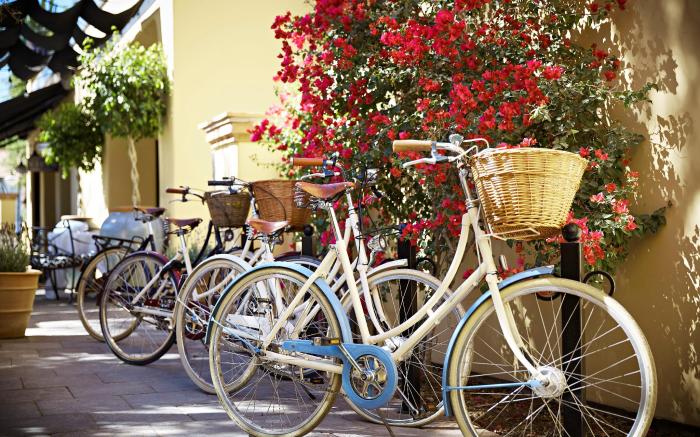 Bespoke Inn Scottsdale