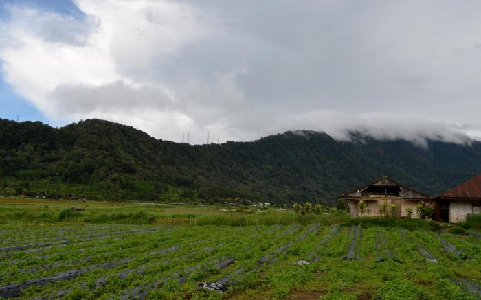 Dajan Buyan Homestay