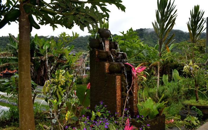 Dajan Buyan Homestay