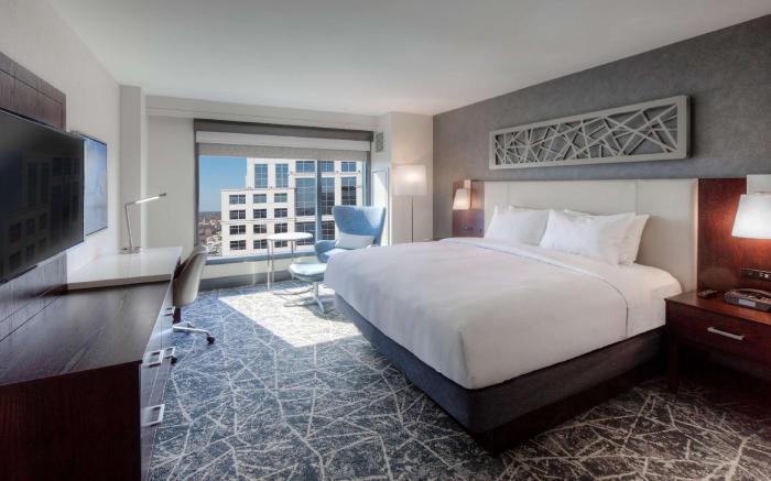 Hilton Norfolk The Main