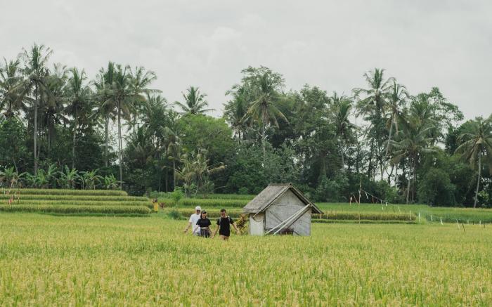 TheWakanda Resort A Pramana experience