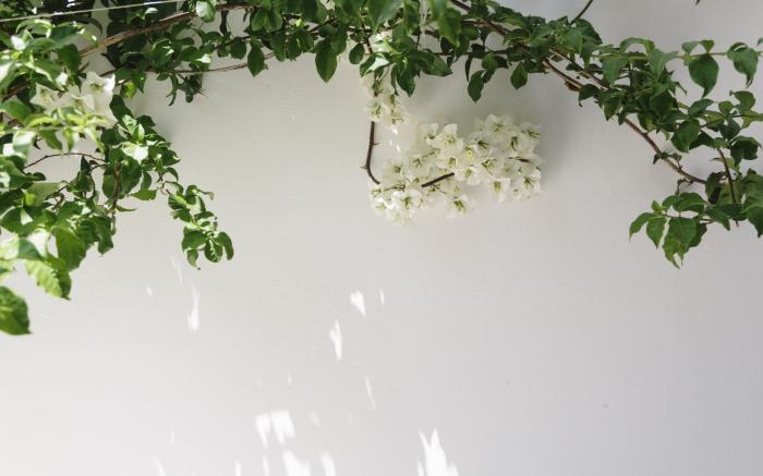 Dimitra Boutique Hotel Poros