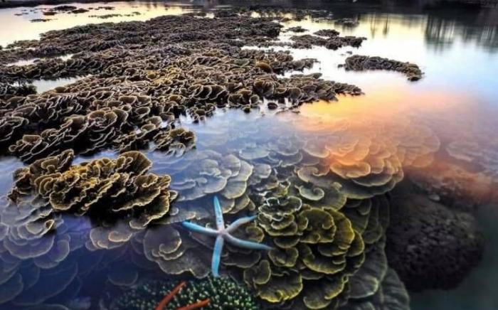 Khách Sạn Nghinh Phong Beach Tuy Hòa